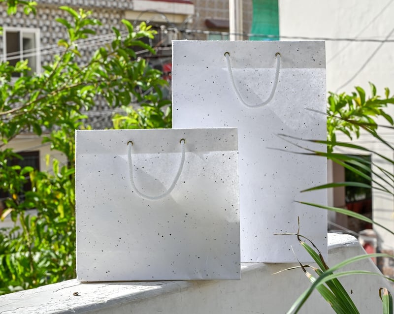 Plantable Stationery